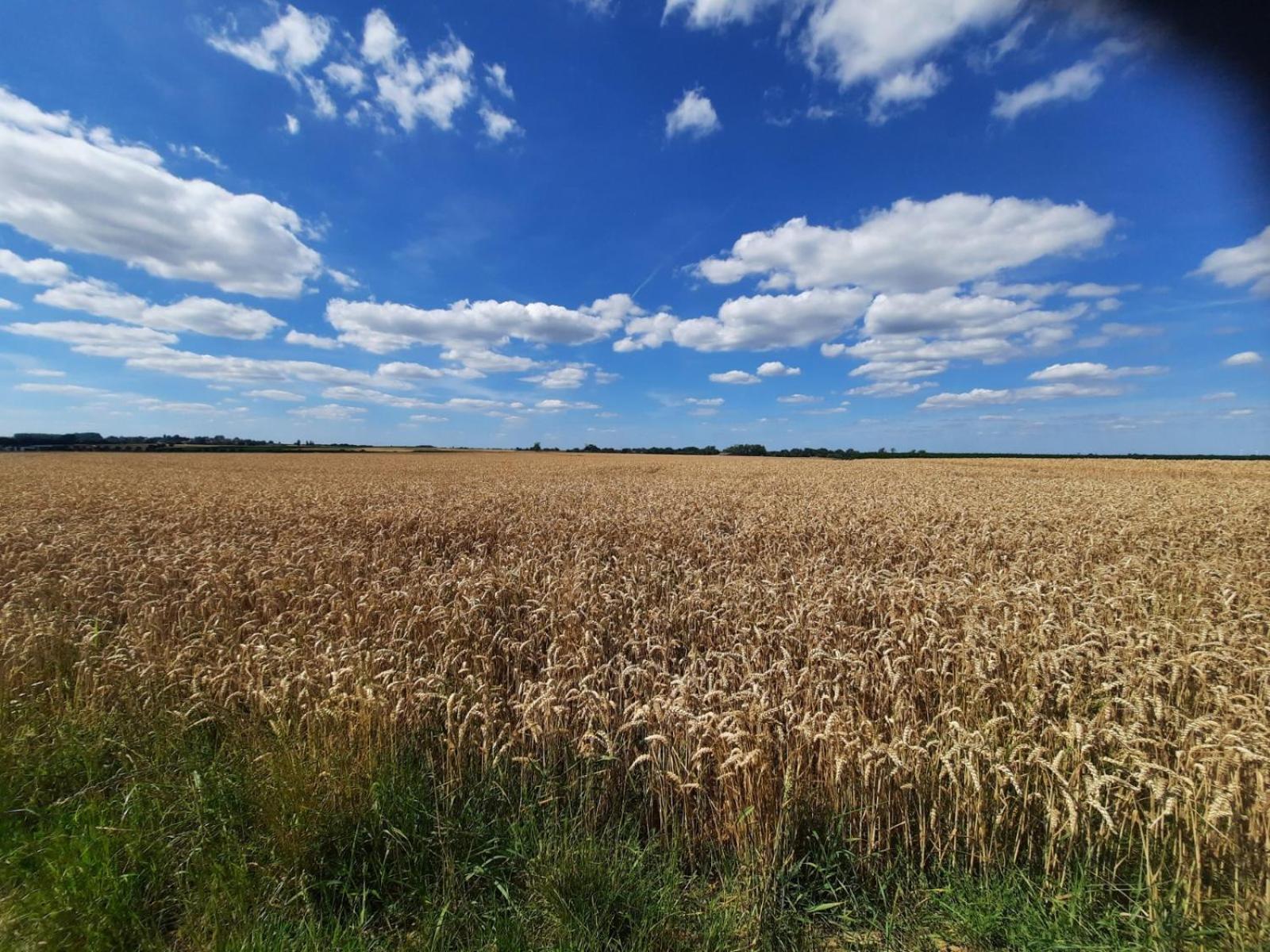 Maison Mathieu Bilzen Zewnętrze zdjęcie